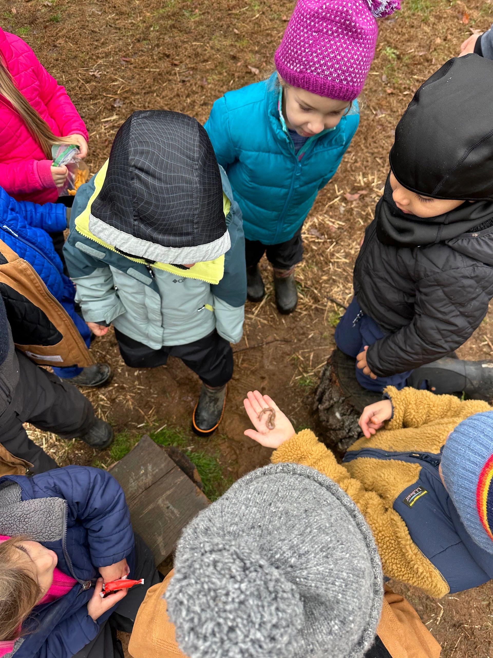 Forest Preschool at Foothills Forest School