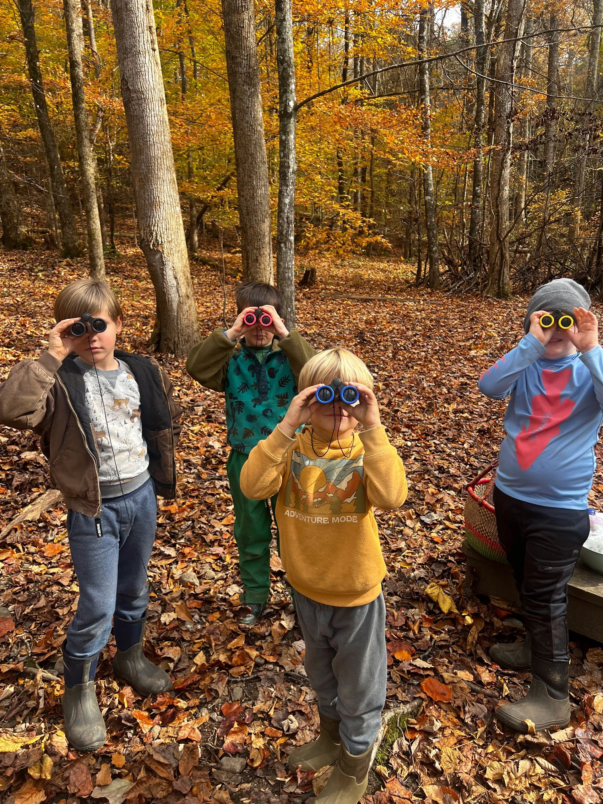 Forest K/1 outdoor classroom