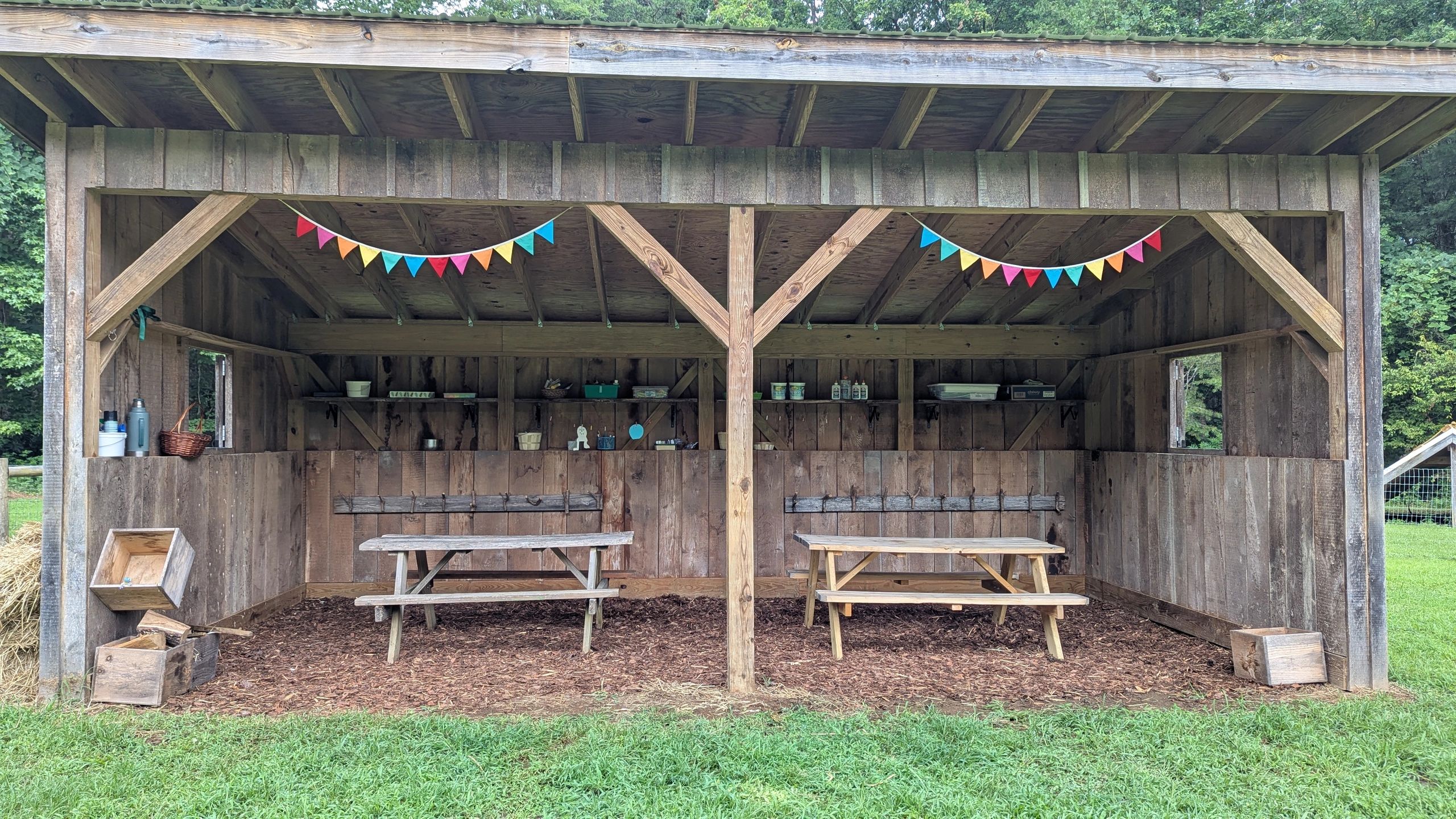 Preview Day at Foothills Forest School