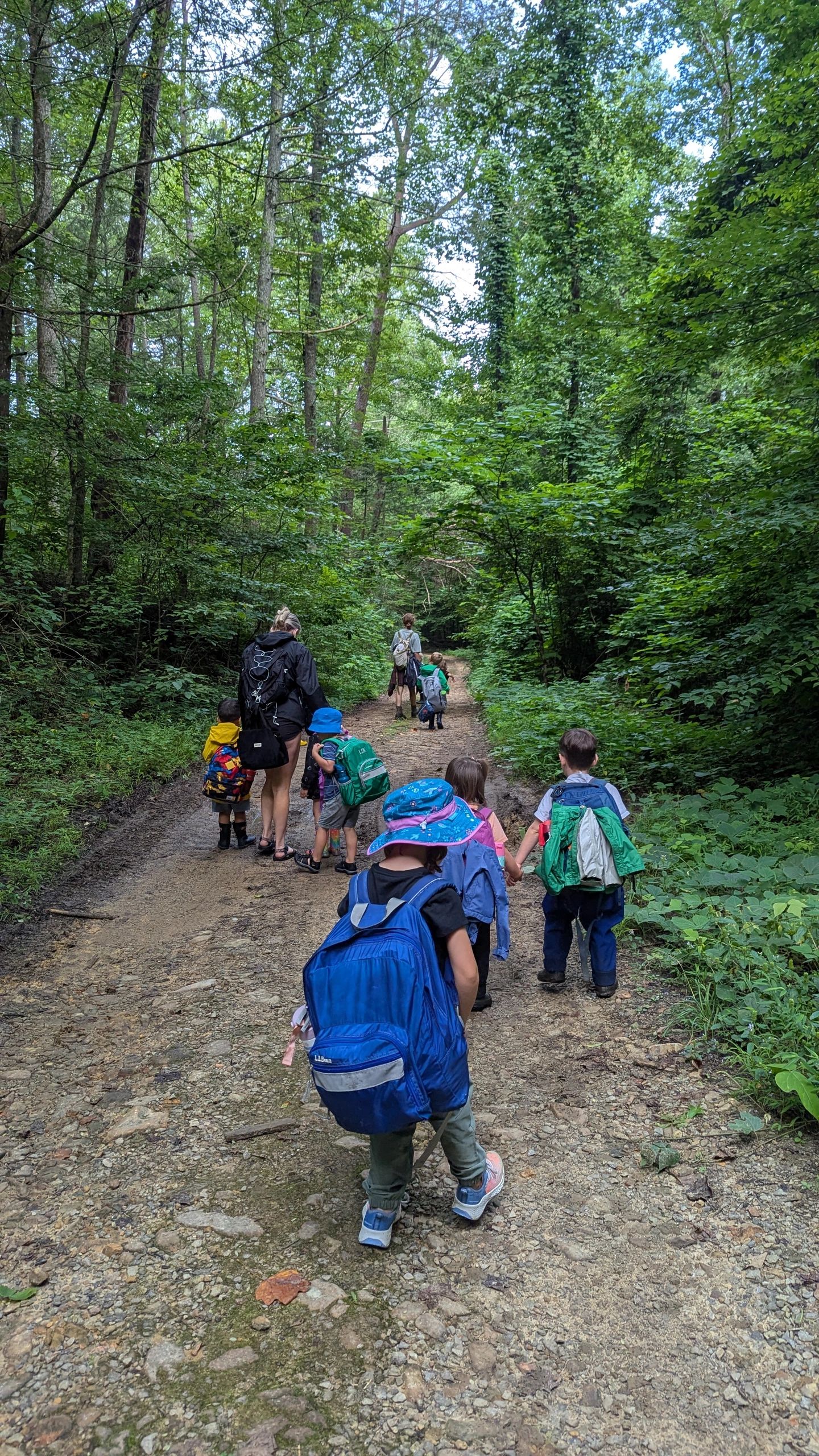 Summer Camp at Foothills Forest School